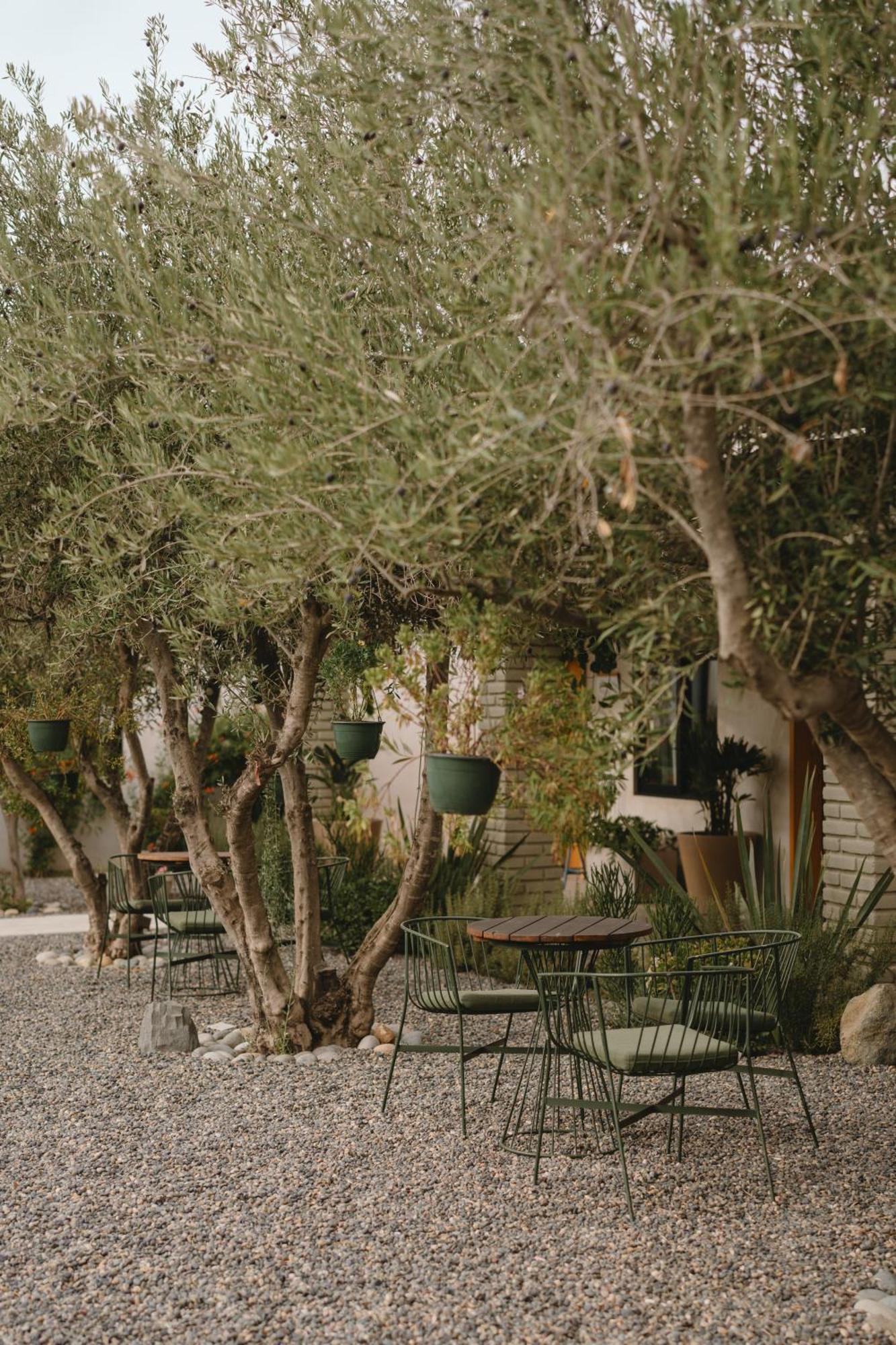 Mya Hotel Guadalupe Eksteriør billede